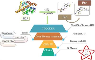 Virtual Screening and Bioactivity Evaluation of Novel Androgen Receptor Antagonists From Anti-PCa Traditional Chinese Medicine Prescriptions